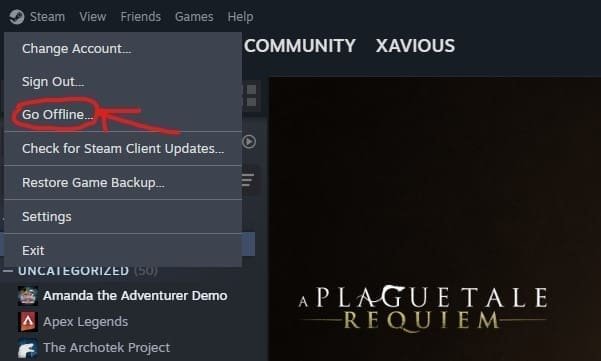 Modalità Offline Account Steam